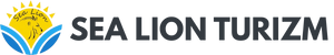 Sea Lion Logo